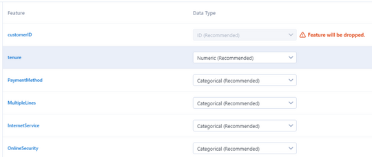 Changing data types in the Assisted Modeling Tool